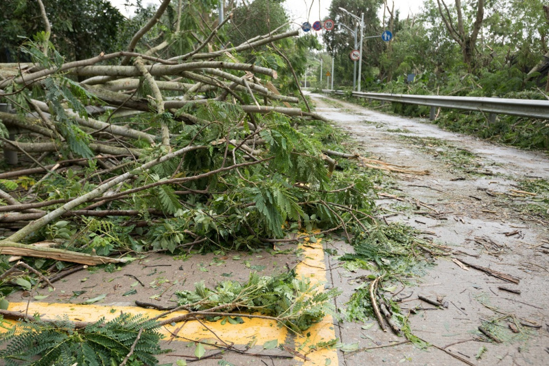alluvione