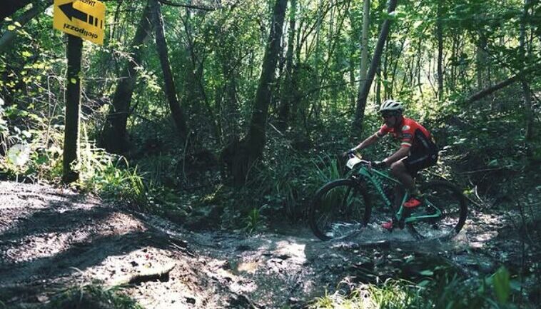 ciclismo cicli pozzi