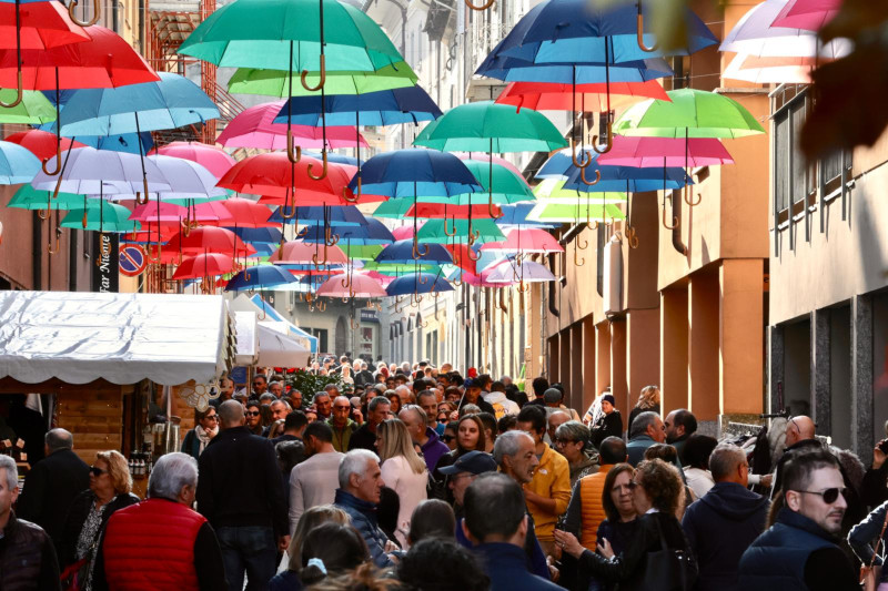 Mostra del Bitto Morbegno