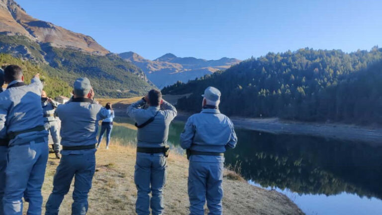 Parco Stelvio Gipeto Aquila Reale osservatori