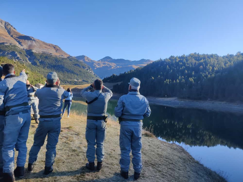 Parco Stelvio Gipeto Aquila Reale osservatori