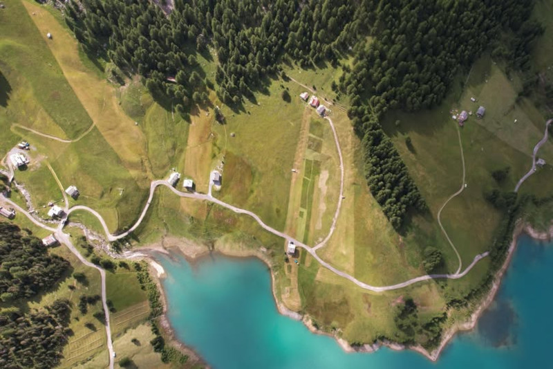 Parco Stelvio prati di sfalcio
