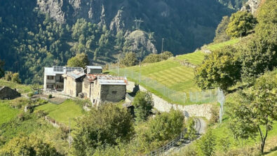 Sondalo barriere paramassi frontale