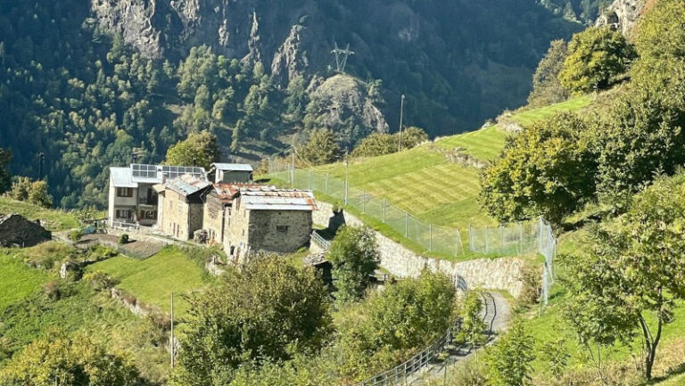 Sondalo barriere paramassi frontale
