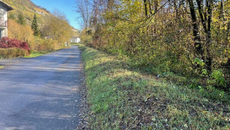 Teglio pulizia strade