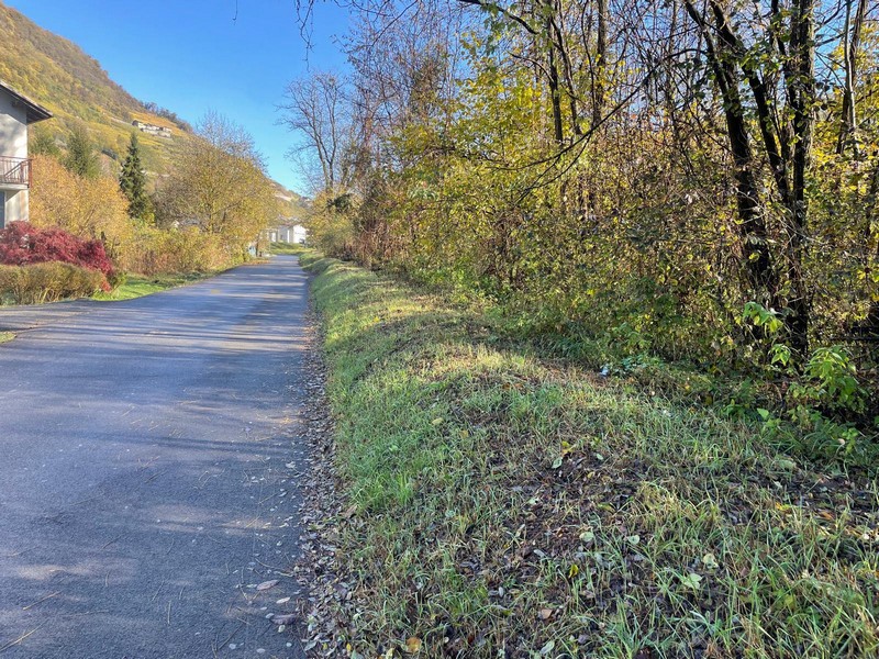 Teglio pulizia strade