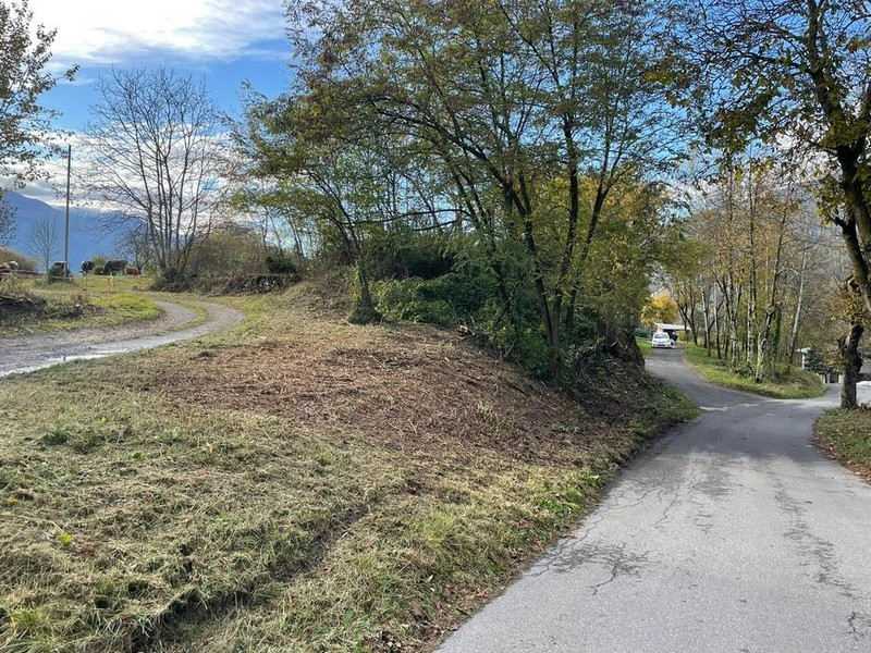 Teglio pulizia strade