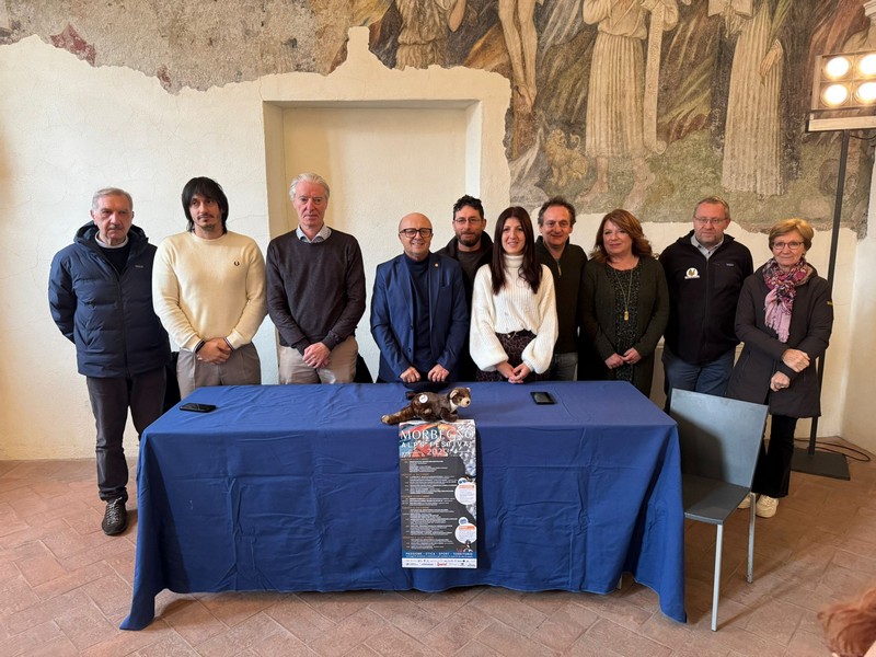 Morbegno Alps Festival