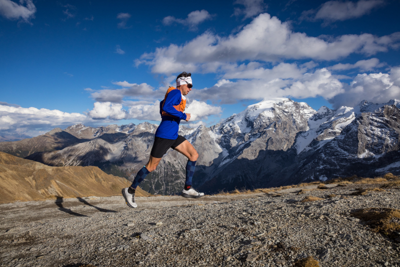 Ortles Haute Route Trail