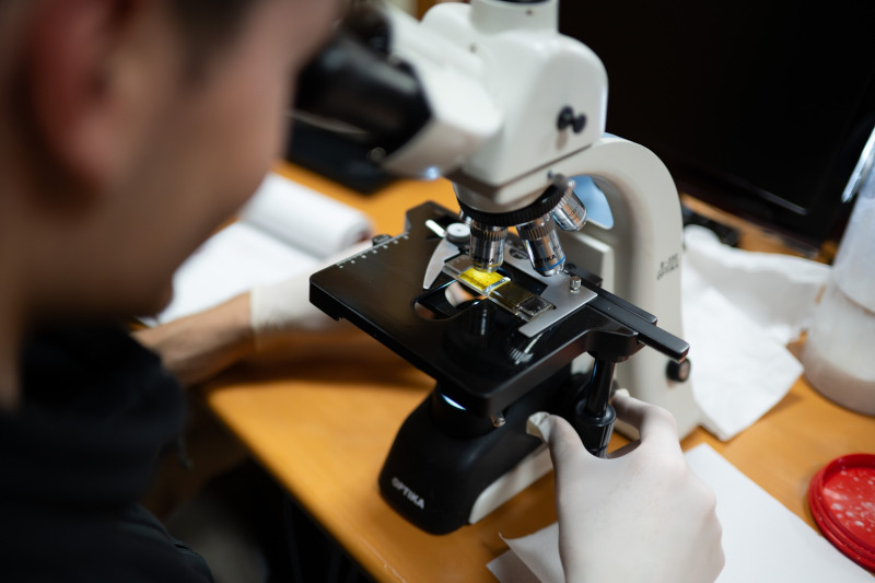 parassiti-parco-dello-stelvio