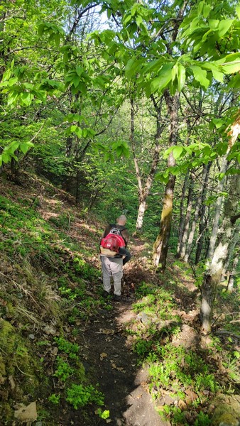 giornate-ecologiche-valdisotto-piateda