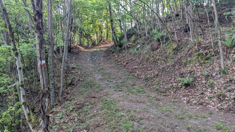 giornate-ecologiche-valdisotto-piateda