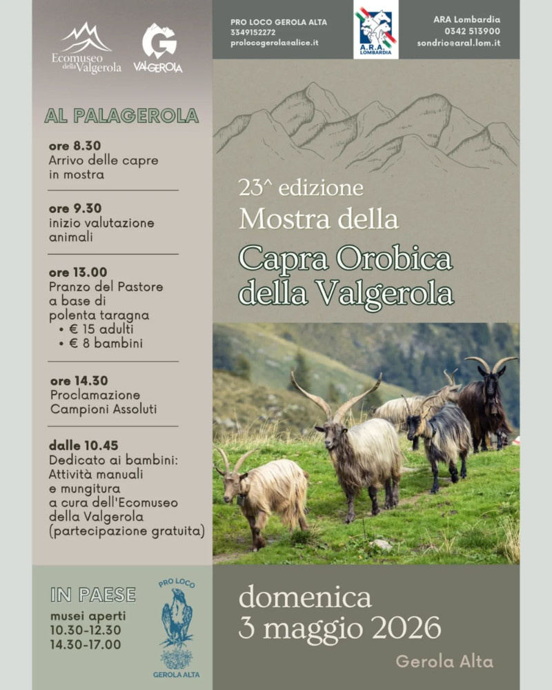 gerola-alta-mostra-capra-orobica