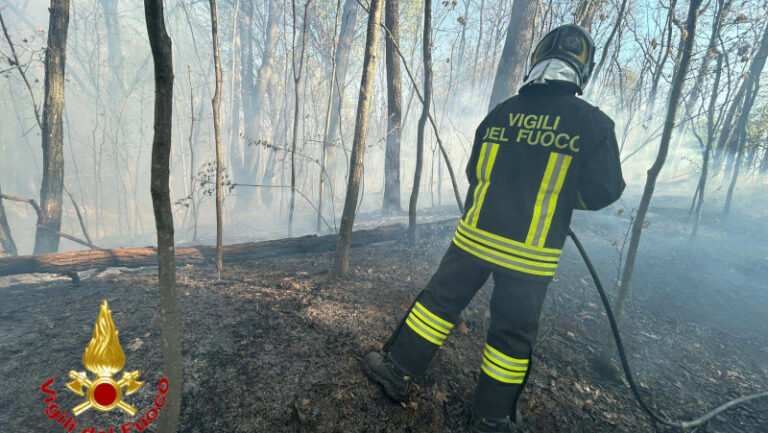 incendi-boschivi-vigili-del-fuoco