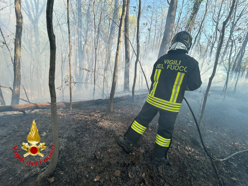 incendi-boschivi-vigili-del-fuoco