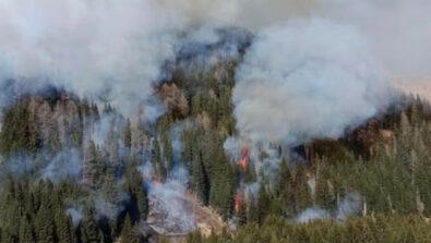 incendio-boschivo-valfurva