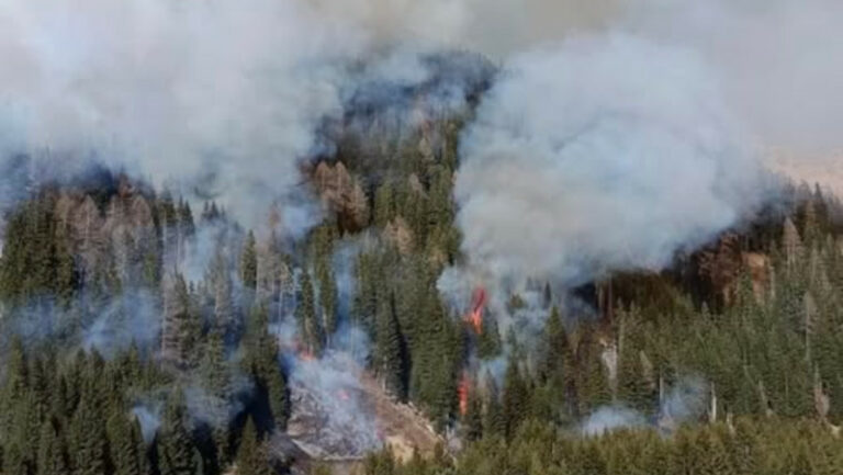 incendio-boschivo-valfurva