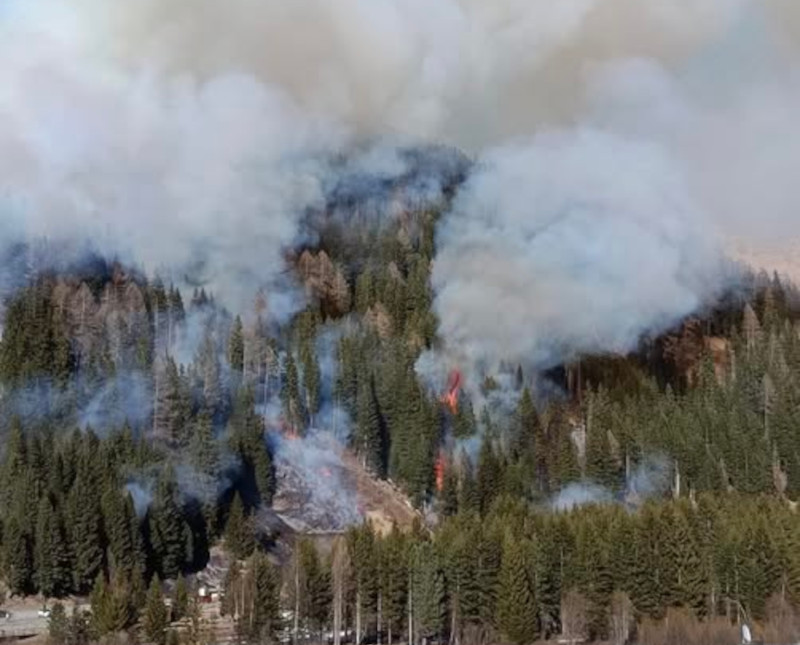 incendio-boschivo-valfurva