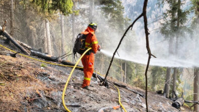 Stelvio incendio valfurva