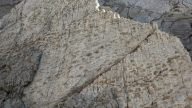 valle-fraele-valdidentro-dinosauri