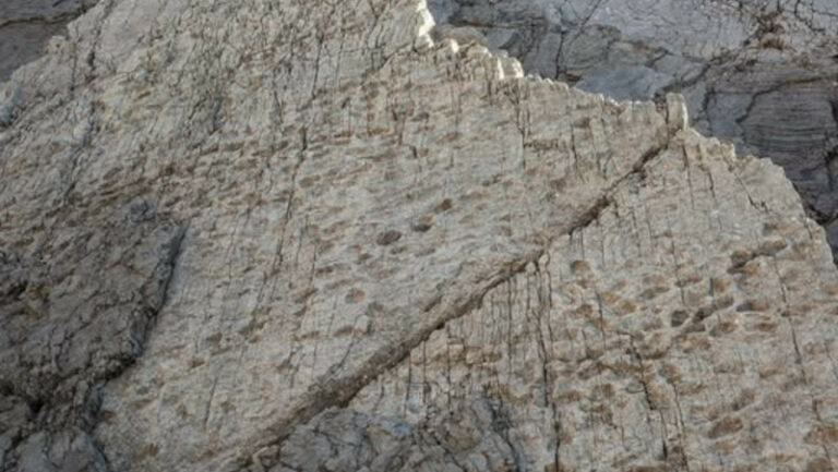 valle-fraele-valdidentro-dinosauri