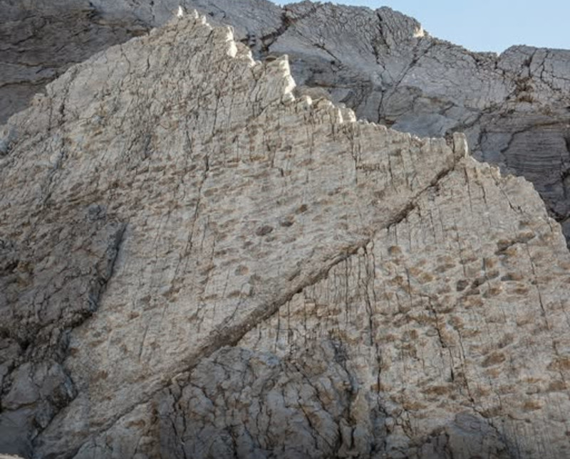 valle-fraele-valdidentro-dinosauri