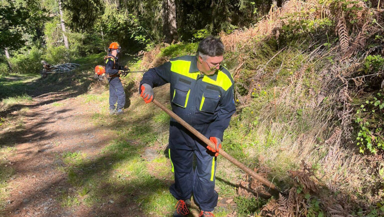 Volontari della Protezione al lavoro ieri lungo il sentiero tagliafuoco in localit&agrave; Pisc&egrave;