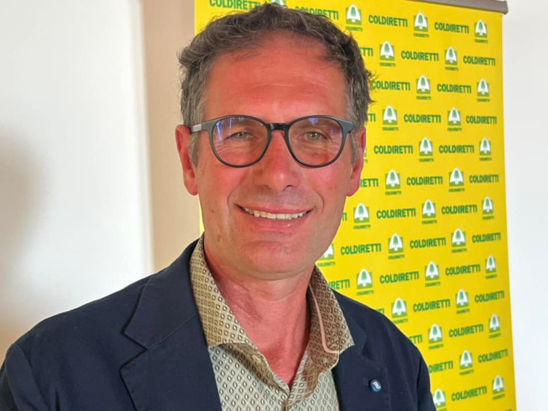 sandro-bambini