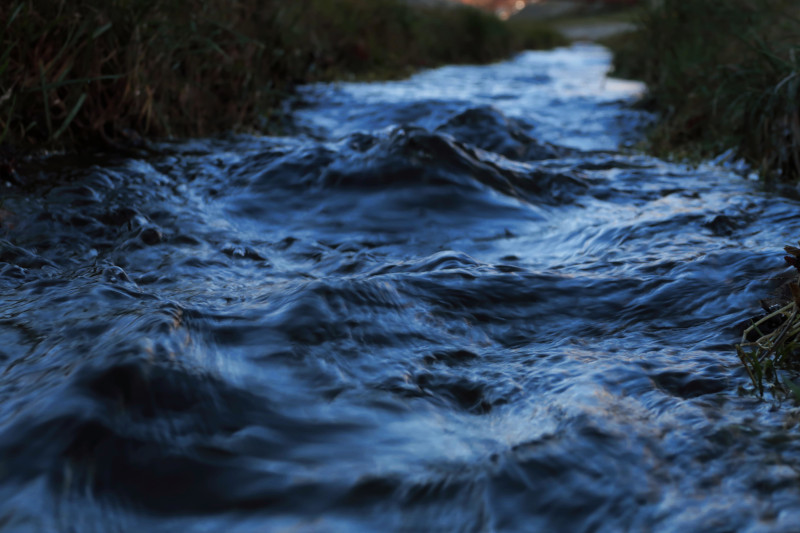 torrente