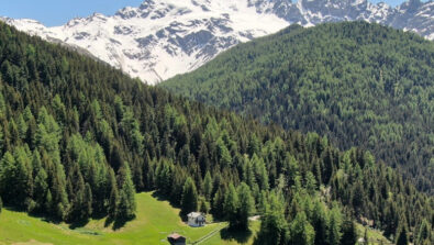 val-lia-valdidentro