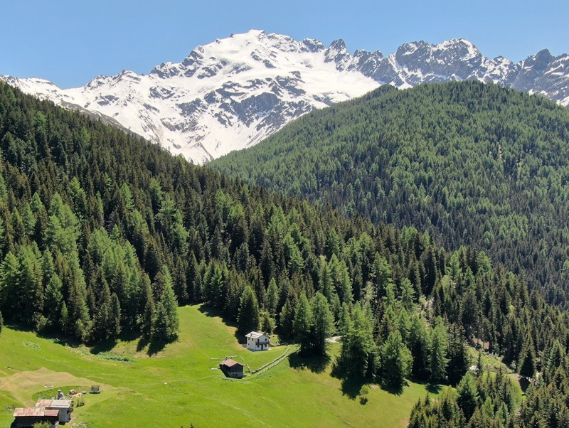 val-lia-valdidentro