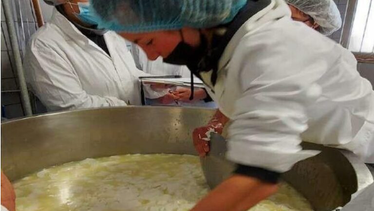 corso operatore casaro d'alpeggio