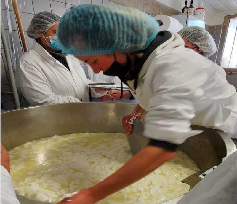 corso operatore casaro d'alpeggio