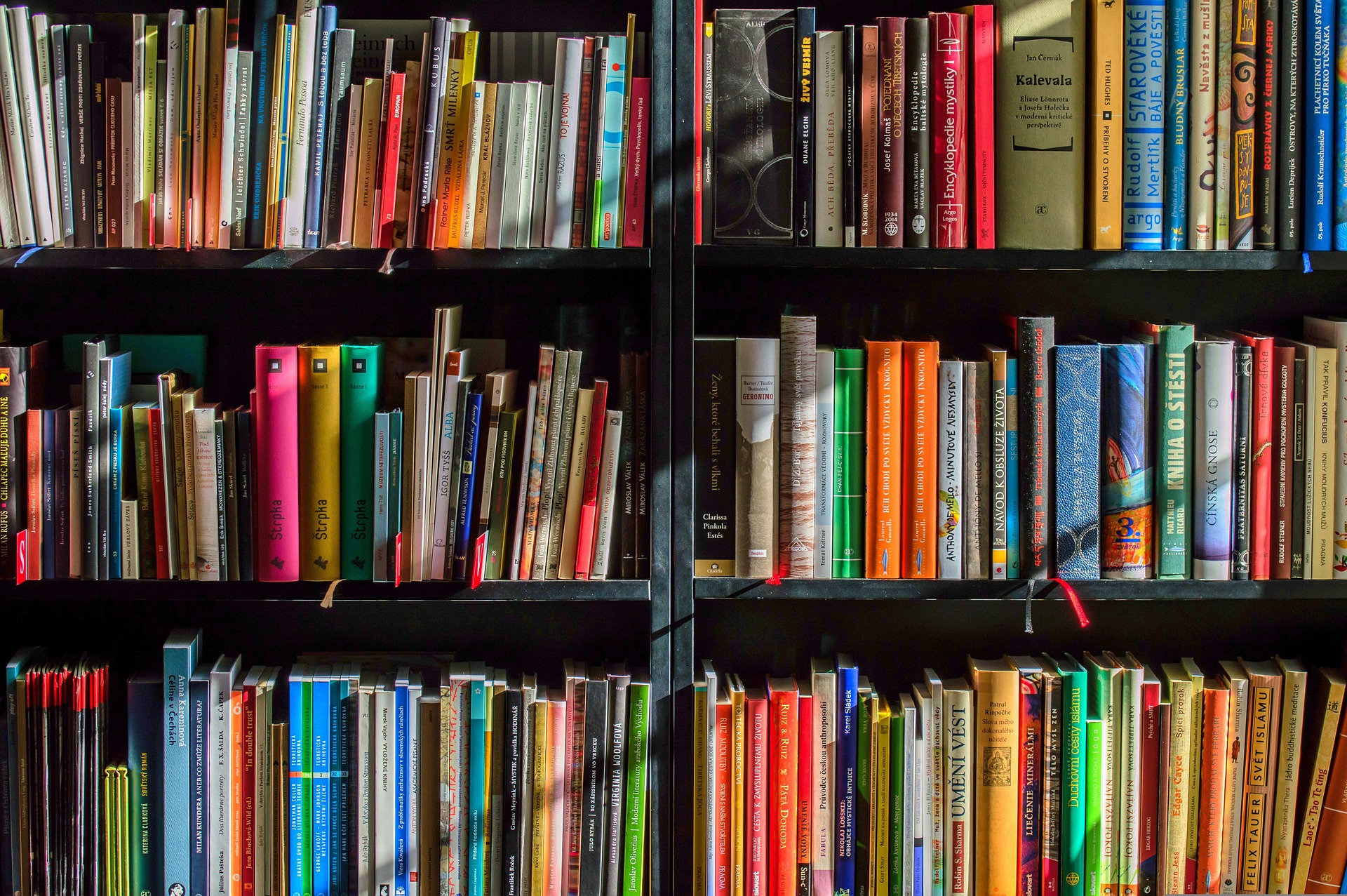 Biblioteca Libri